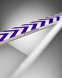 Black Crows SATO BIRDIE Women's Skis 2026/27
