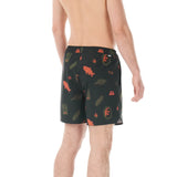 Picture PIAU 15 PRINTED Boardshorts - Sea Rider Print