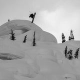 Le Bent Sammy Carlson Pro Series Light Cushion Snow Sock - Alpine Ash