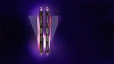 Volkl V.Werks 100th Anniversary - Limited Version