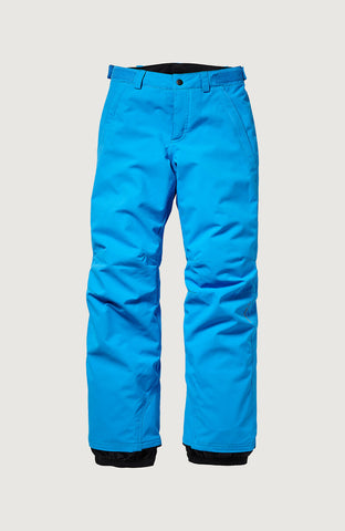 O'Neill Boy's Anvil Pants Dresden Blue